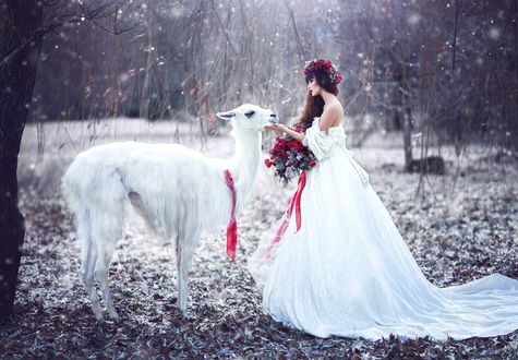 Обои на рабочий стол Девушка с ламой, фотограф Margarita Kareva
