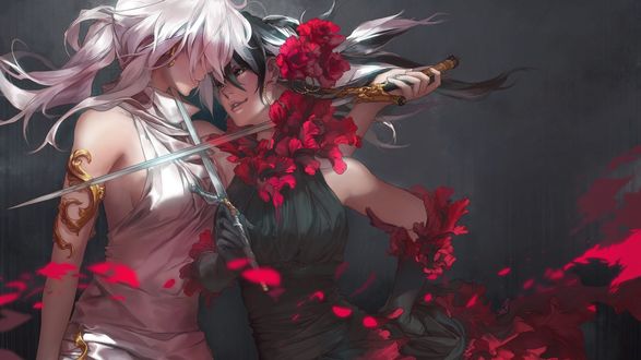 Обои на рабочий стол Девушки со с крещеными мечами