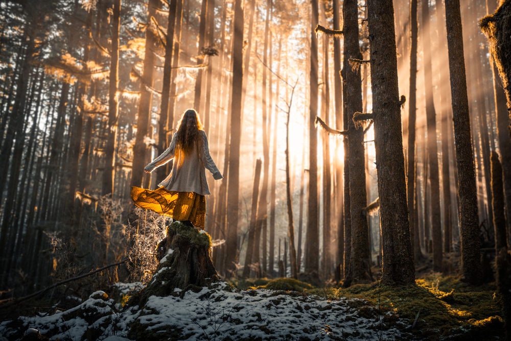 Обои для рабочего стола Девушка стоит на пне в лесу, ву Lizzy Gadd