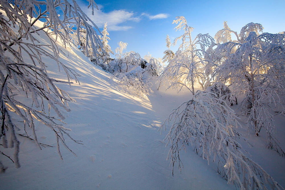 Обои для рабочего стола Зимний пейзаж, фотограф Сергей Евдокимов