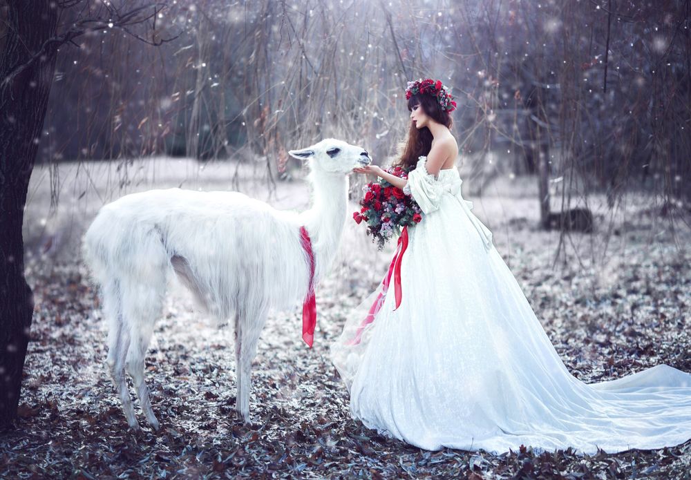 Обои для рабочего стола Девушка с ламой, фотограф Margarita Kareva
