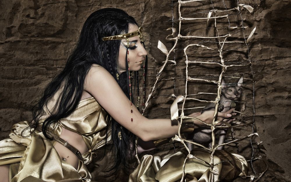 Обои для рабочего стола Девушка-египтянка гладит кошку, сидящую в золотой клетке, by Nazarenko