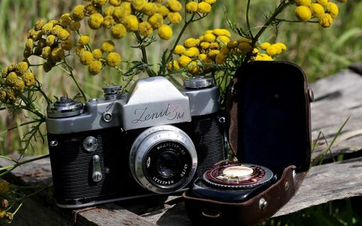 Обои на рабочий стол Фотоаппарат и люксметр лежат на деревянной скамейке, на фоне желтых цветов