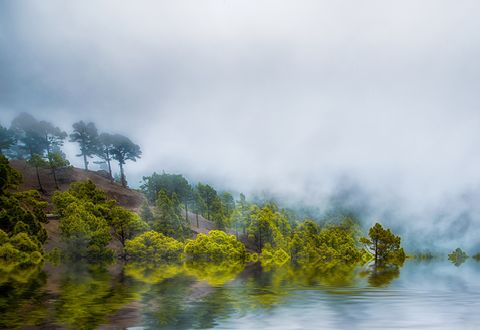 Обои на рабочий стол Деревья в тумане у воды, by alierturk