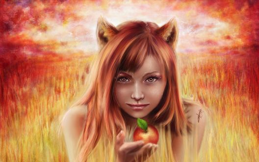Обои на рабочий стол Horo / Хоро из аниме Волчица и пряности / Spice and Wolf / Ookami to Koushinryou с яблоком в руке сидит в поле средь колосьев пшеницы на фоне багряного заката