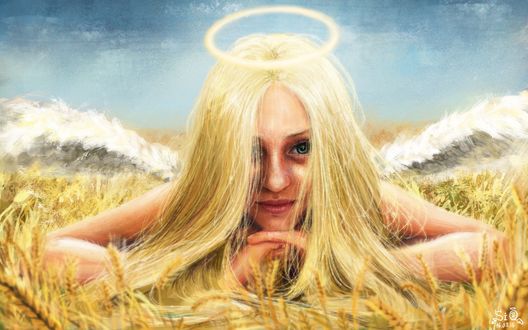 Обои на рабочий стол Девушка-ангел лежит среди пшеницы