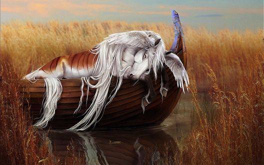 Обои на рабочий стол Уставший Пегас спит на лодке, by yewrezz-d9j02jk