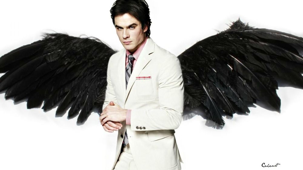 Обои для рабочего стола Ян с черными крыльями / Ian somerhalder