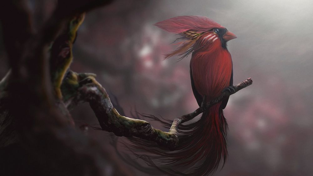 Обои для рабочего стола Красная птица с хохолком и длинным хвостом сидит на ветке дерева, by BesnikMeti