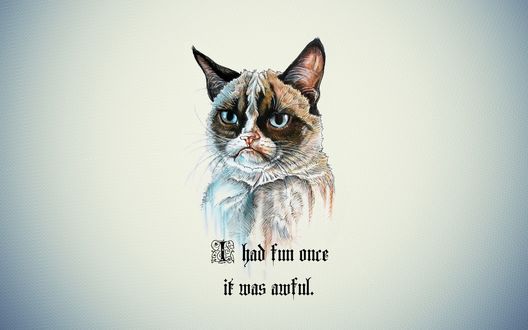 Обои на рабочий стол Сердитый кот / Grumpy cat (Я веселился лишь однажды и это было ужасно / I had fun once it was awful)