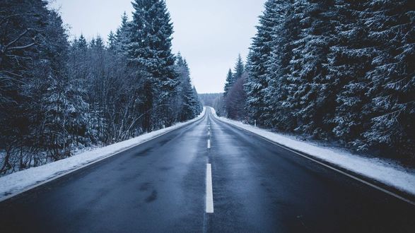 Обои на рабочий стол Дорога в зимнем лесу