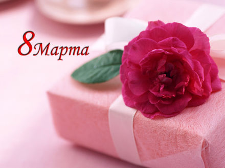 Обои на рабочий стол Подарок и красная роза на 8 марта