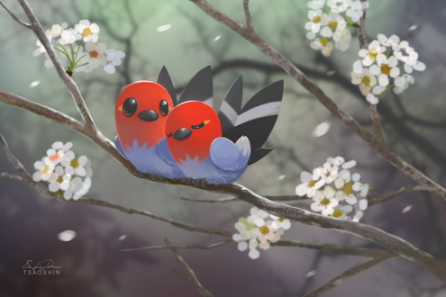 Обои на рабочий стол Две птицы сидят на цветущей ветке, by TsaoShin