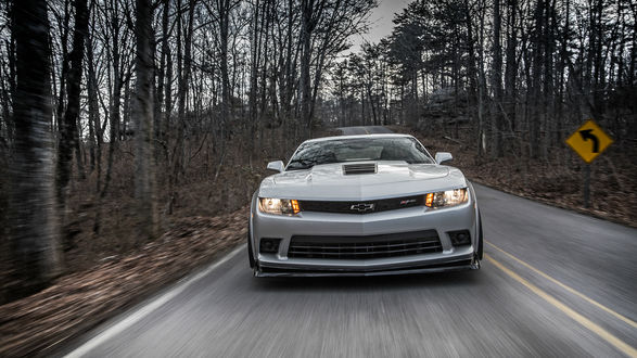 Обои на рабочий стол Серый Chevrolet Camaro Z28 на лесной дороге