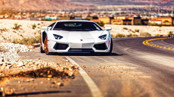 Обои на рабочий стол Lamborghini белого цвета стоит на обочине дороги