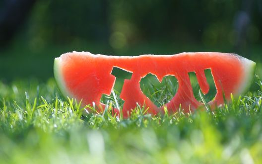 Обои на рабочий стол Арбуз с вырезанными словами I love you лежит на зеленой траве