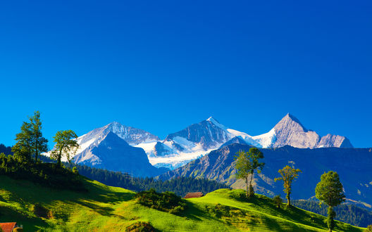 Обои на рабочий стол Зеленые холмы Альп / Alpes, за которыми начинаются снежные вершины