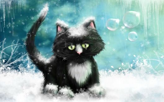 Обои на рабочий стол Черно-белый котенок в снегу