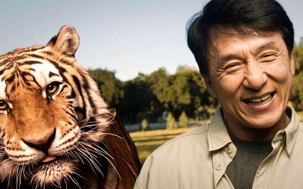 Обои для рабочего стола Джеки Чан с тигром