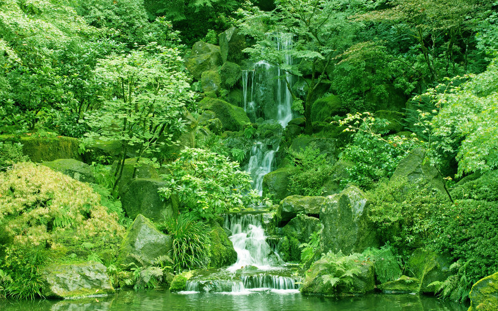 Обои для рабочего стола Парк Вашингтон, штат Орегон, Красивый водопад в Японском саду