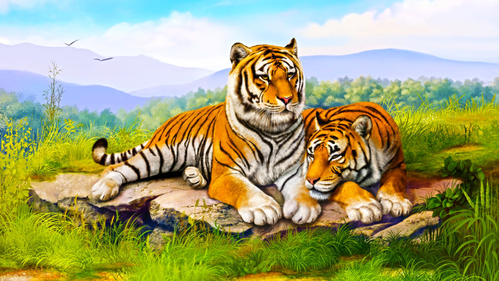 Обои для рабочего стола Тигры лежат на камне среди зеленой травы