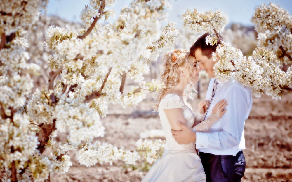 Обои для рабочего стола Жених и невеста стоят под цветущим деревом