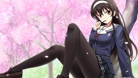 Обои на рабочий стол Утаха Касумигаока / Utaha Kasumigaoka из аниме Как воспитать героиню из обычной девушки / Saenai Heroine no Sodatekata с палочкой Покки / Pocky сидит под цветущей сакурой