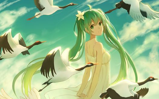 Обои на рабочий стол Вокалоид Хатсуне Мику / Vocaloid Hatsune Miku стоит на фоне облачного неба в окружении птиц