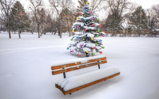 Обои на рабочий стол Скамейка, покрытая снегом, позади которой стоит наряженная елка