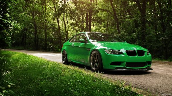 Обои на рабочий стол Зеленый Bmw стоит на дороге на фоне леса