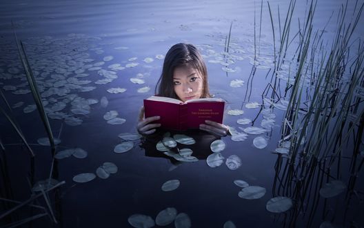 Обои на рабочий стол Девушка читает книгу сидя в озере