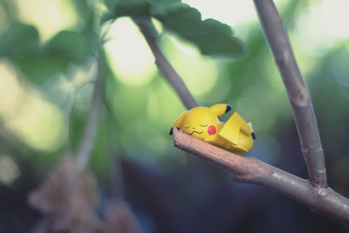 Обои на рабочий стол Игрушка спящего Пикачу / Pikachu из аниме Покемон / Pokemon на ветке дерева