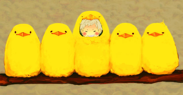 Обои на рабочий стол Чиби Prussia / Пруссия из аниме Hetalia Axis Powers / Хеталия и страны Оси в костюме желтой птицы сидит среди желтых птиц, которые принимают его за собрата, благодаря удачно выбранной маскировки, by Pixiv Id 31602