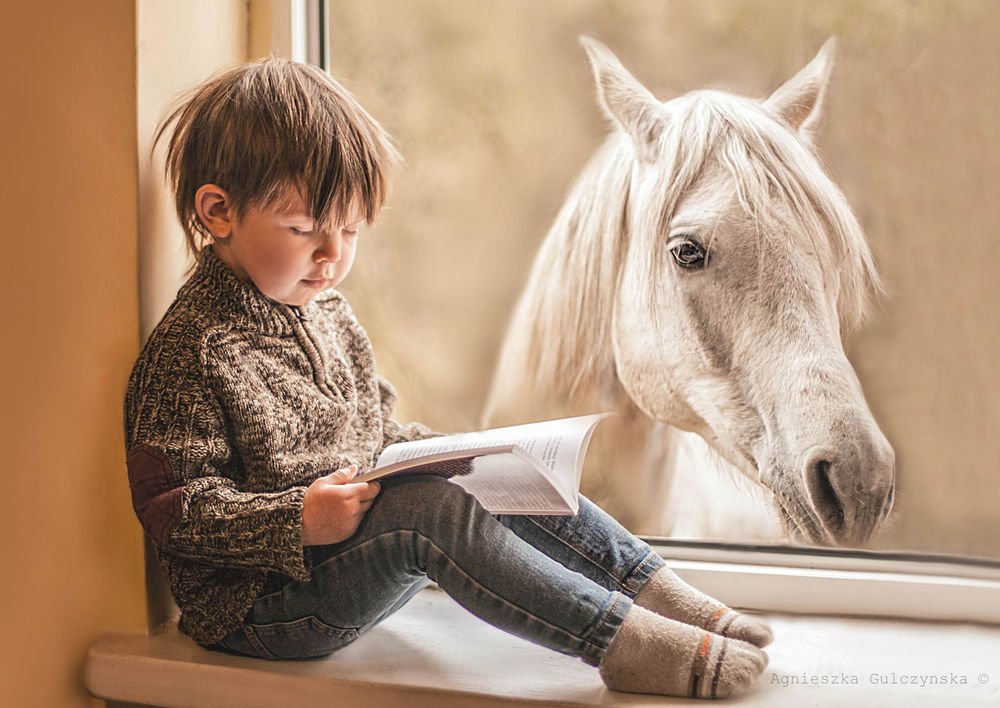 Обои для рабочего стола За окном, на подоконнике которого сидит мальчик с книгой, стоит белая лошадь, ву Agnieszka Gulczynska
