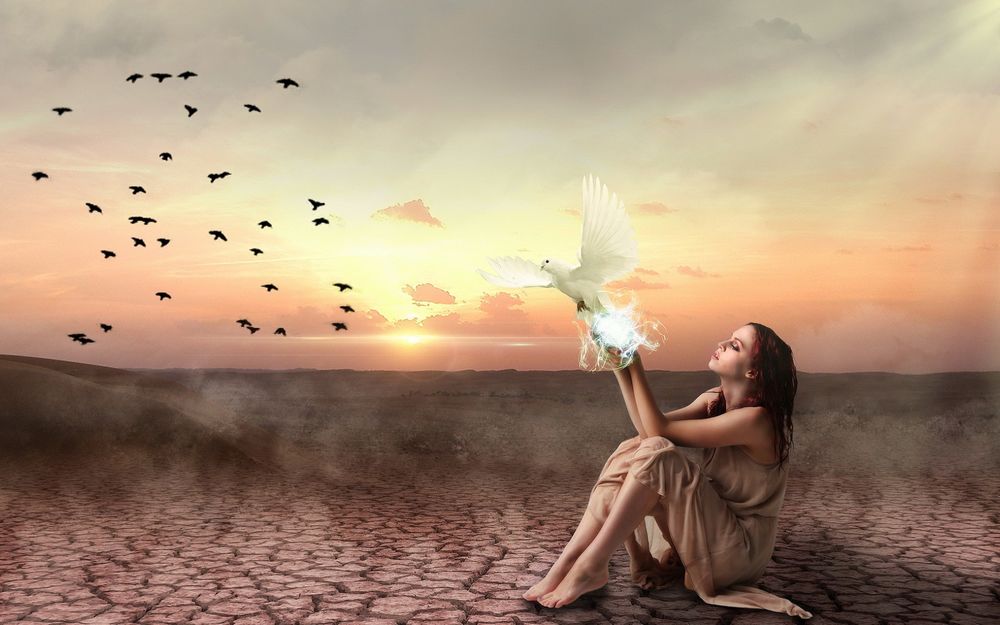 Обои для рабочего стола Девушка сидит на потрескавшейся земле, в ее магических руках появляется белый голубь