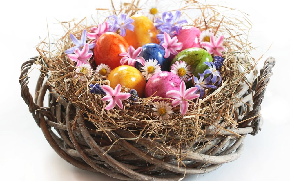 Обои для рабочего стола Пасхальные яйца и цветы, в птичьем гнезде, помещенном в корзинку, на белом фоне