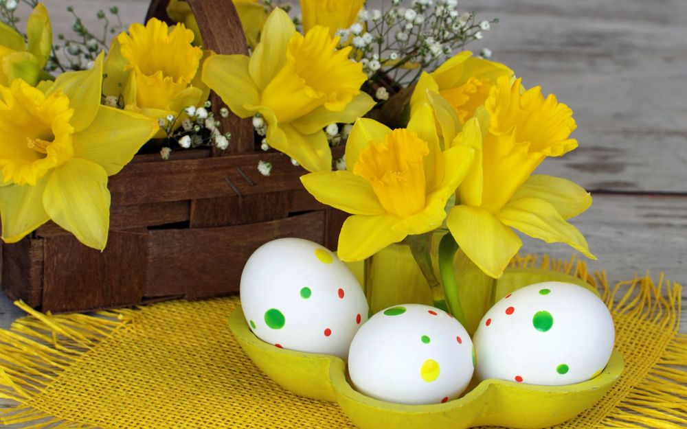 Обои для рабочего стола Пасхальные яйца на салфетке с желтыми цветами нарцисса
