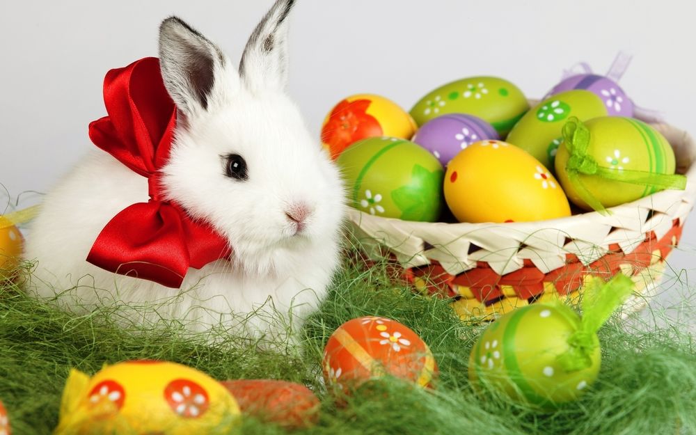 Обои для рабочего стола Пасхальные яйца в плетеном лукошке, рядом сидит белый кролик с красным бантом на шее