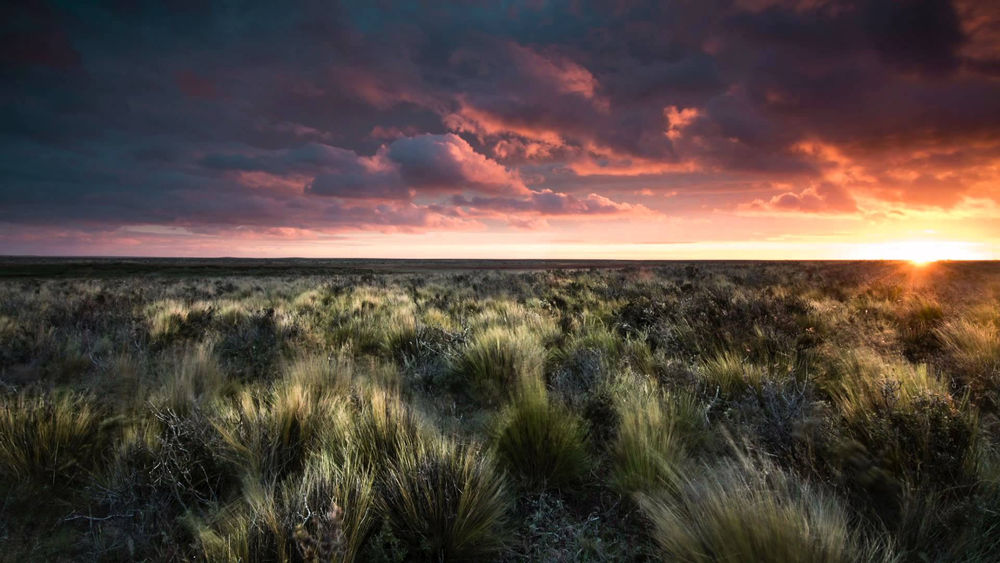 Обои для рабочего стола Chacabuco Valley, Chile, Patagonia / долина Chacabuco, Чили, Патагония, фотограф Nedim 1968