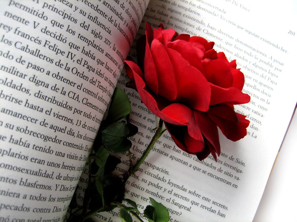 Обои для рабочего стола Красная роза с зелеными листьями лежит на раскрытой странице книги