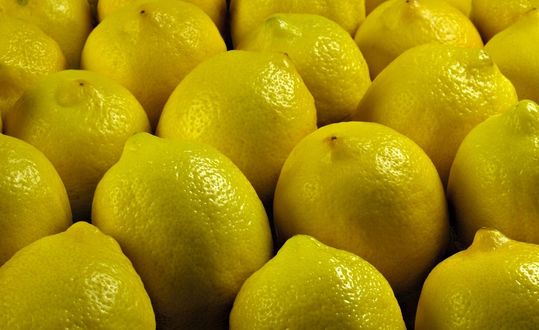 Обои на рабочий стол Изобилие желтых лимонов