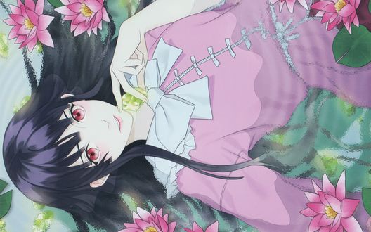 Обои на рабочий стол Кагуя Хорайсан / Kaguya Houraisan из игры Проект Восток / Touhou Project