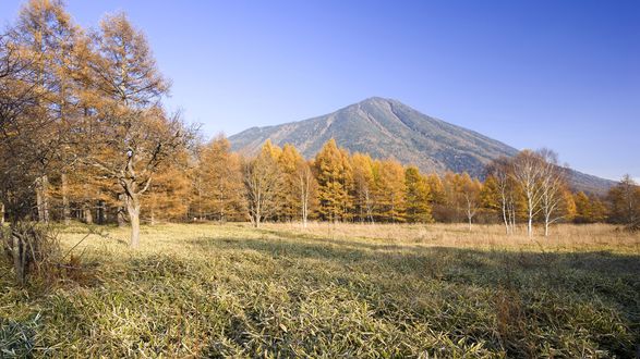 Обои на рабочий стол Tochigi, Japan / префектура Тотиги, Хонсю, Япония, поле, лес горы