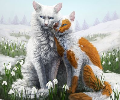 Обои на рабочий стол Кот и кошка на весенней лужайке, by Cat-Patrisiya