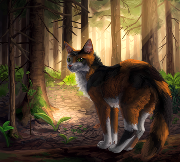 Обои на рабочий стол Трехцветный кот в лесу, by Cat-Patrisiya