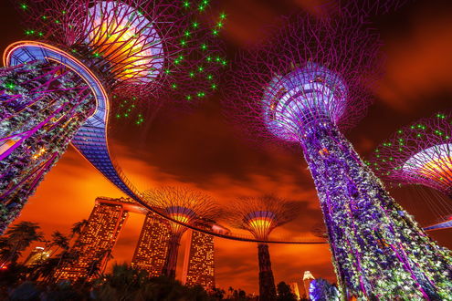 Обои на рабочий стол Вид на вечерний Сингапур / Singapore, деревья-киборги Gardens by the Bay, Малайзия