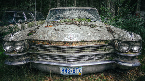 Обои на рабочий стол Заброшенный Cadillac в лесу