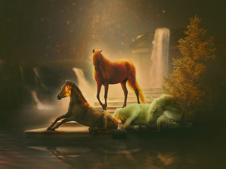 Обои на рабочий стол Три разные лошади у водоема, by TheCallyBear