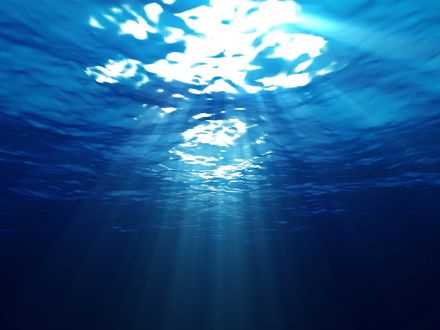 Обои на рабочий стол Под морем где видны лучи солнца