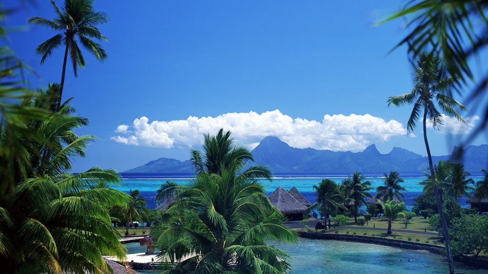 Обои для рабочего стола Остров Таити, тропический рай. Пальмы вдоль бортиков бассейна, бунгало на берегу океана. На горизонте горы в шапке белоснежных облаков на фоне синего неба